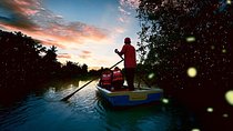 Kuala Selangor Fireflies Tour (Special Deal)