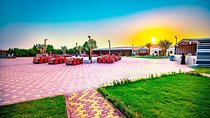 Private Premium Desert Safari with 5 Star Live BBQ Dinner 