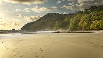 4 Days Tamarindo Beach & San José City from Tamarindo