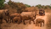 Udawalawe Safari & Waulpane Caving day tour from Colombo