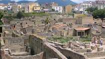 Herculaneum ruins half day tour