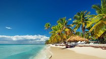 Saona Island Day Tour