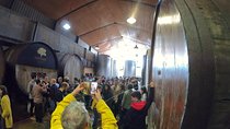 Live in the cider house, the tradition of the txotx.