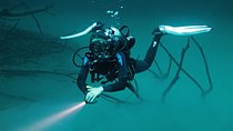 Diving in Angelita 1 day tour for 2 certified divers