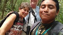Sian Ka'an & Birdwatching Tours By Eddy