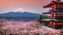 Fuji and Lake Kawaguchi Tour