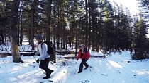 Private - Bogd Khan National Park Hiking Day Trip