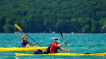 Mangroves Kayaking with Pickup & Drop Off