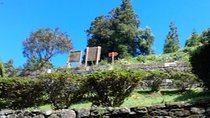  Sete Cidades Lagoa do Fogo79.99€ per person with lunch minim 2