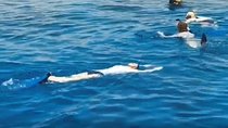 Shore Snorkeling - Two hours