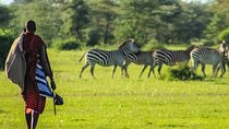 5 days Maasai mara/Nakuru/Naivasha safari
