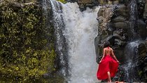 Best Bali Car Charter Service 
