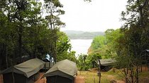 1 Night 2 Days at Belihuloya Adventure Camp tour From Colombo or Negombo