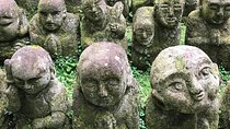 Kyoto: Descending Arashiyama (Private)