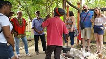 Montego Bay hi lite and culture tour