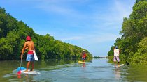 Stand Up Paddle Boarding with Pickup & Drop Off