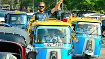 Cruise by tuk tuk in Colombo