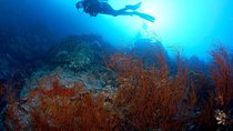 Shore PADI SCUBA Advanced Open Water Course