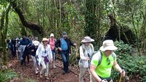 Best Kilimanjaro Adventures 6 Days Marangu Route Experience