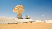 Bahariya Oasis Camp 2 Days 1 Night To From Cairo and Giza 4X4