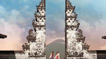Individual Bali Day Trip with Private Driver and Free WiFi