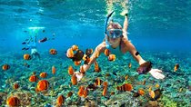 4 Point Snorkeling Nusa Penida from Bali