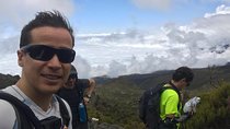 Kilimanjaro Experience 7 Days Lemosho route