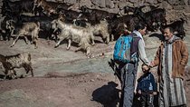 Visit Imlil village in the High Atlas mountains in Private Full-Day Tour