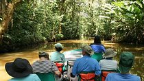 Tortuguero National Park and Canals Day Trip from San Jose