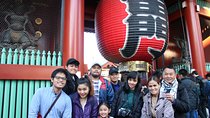 6-hour Tokyo tour with a qualified tour guide using public transport