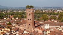 Direct Transfer from your Hotel in LUCCA to your Hotel in ROME