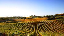 Day trip from La Spezia pier: San Gimignano and wine tasting - private tour
