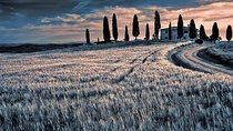Day trip from Rome: Deluxe wine tasting in Montalcino - private tour