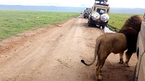 5 Day Camping Safari to Lake Manyara, Serengeti and Ngorongoro Crater
