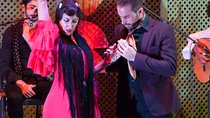 Malaga Flamenco Show