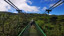 Caminata en el Bosque Lluvioso y tour de café en Monteverde