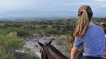 Criolla Horseback Riding 