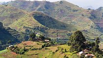 Uganda's great animals safari