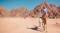 from Hurghada to Sharm el-Sheikh (safari & alf leila wa leila show ) 1 Night