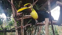 Transport from San Jose to la Fortuna