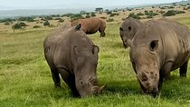 Wildlife safari & Conservation Projects 