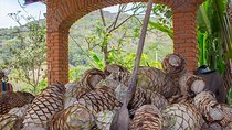 City and Tequila Tour in Puerto Vallarta 