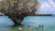 Full-day Safari Blue Trip in Zanzibar with Lunch buffet