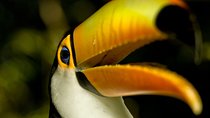 Brazil Family Adventure - Private Multi Day Tour