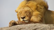 Tanzania Rafiki Adventure