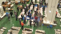 Tuna auction at Toyosu Market with qualified guide and early morning tour of Tsukiji Outer Market