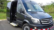 Transfer from San Jose Int'l Airport to San Jose City (Roundtrip)