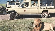 Jambo Jambo 3 Days Safari