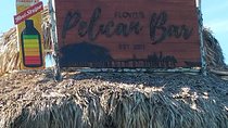  Appleton Estate Rum Tour and Pelican Bar Customize Tour
