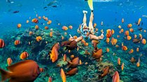 Blue Lagoon Snorkeling - Jungle Swing - Ubud - All Inclusive
